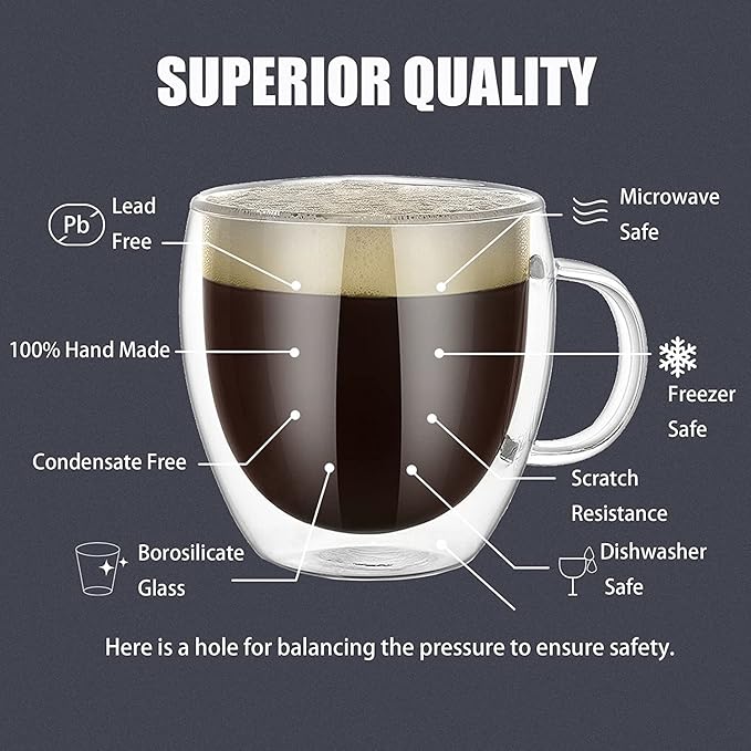 Double Wall Insulated Glass Mug With Handle 250 ML
