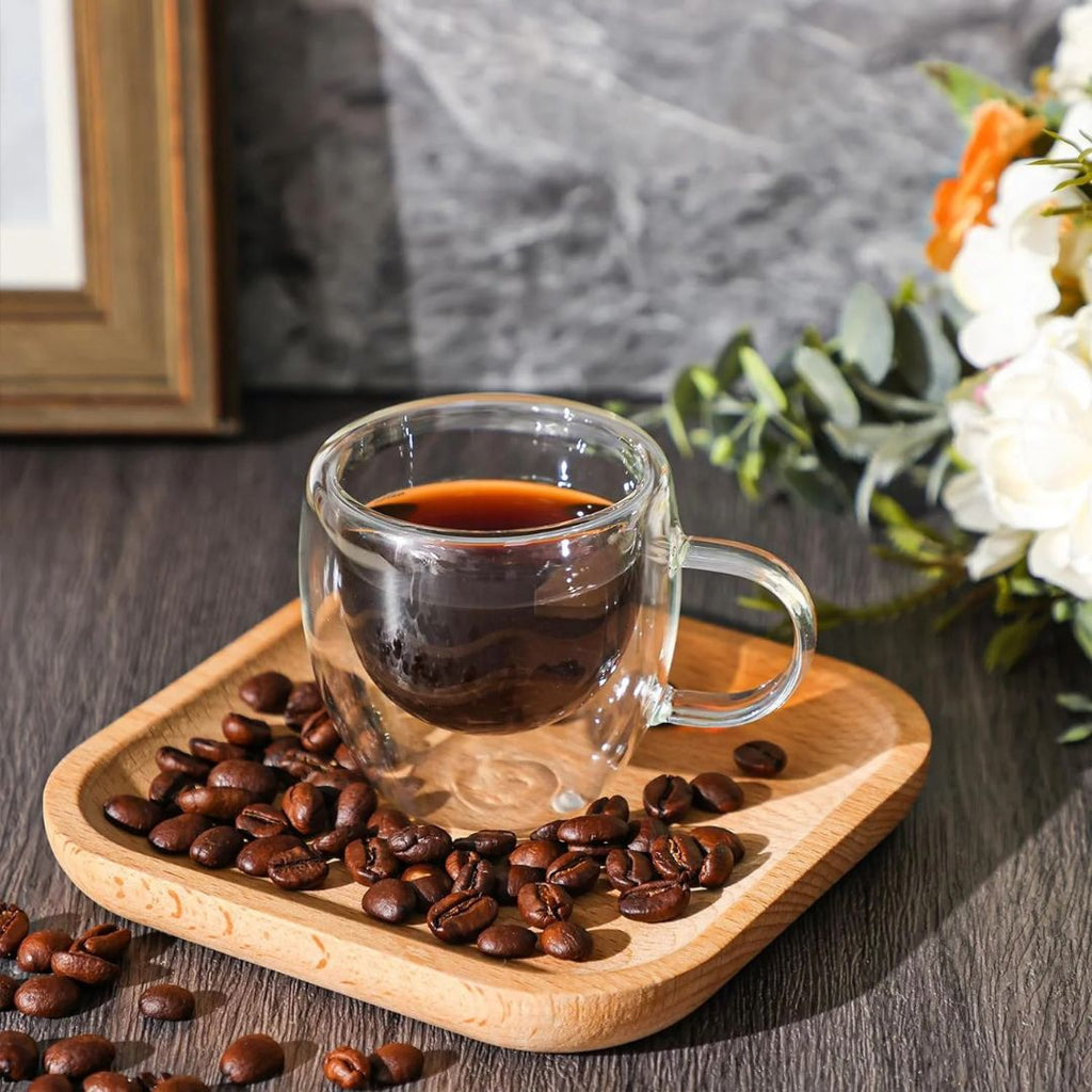 Double Wall Insulated Glass Mug With Handle 250 ML