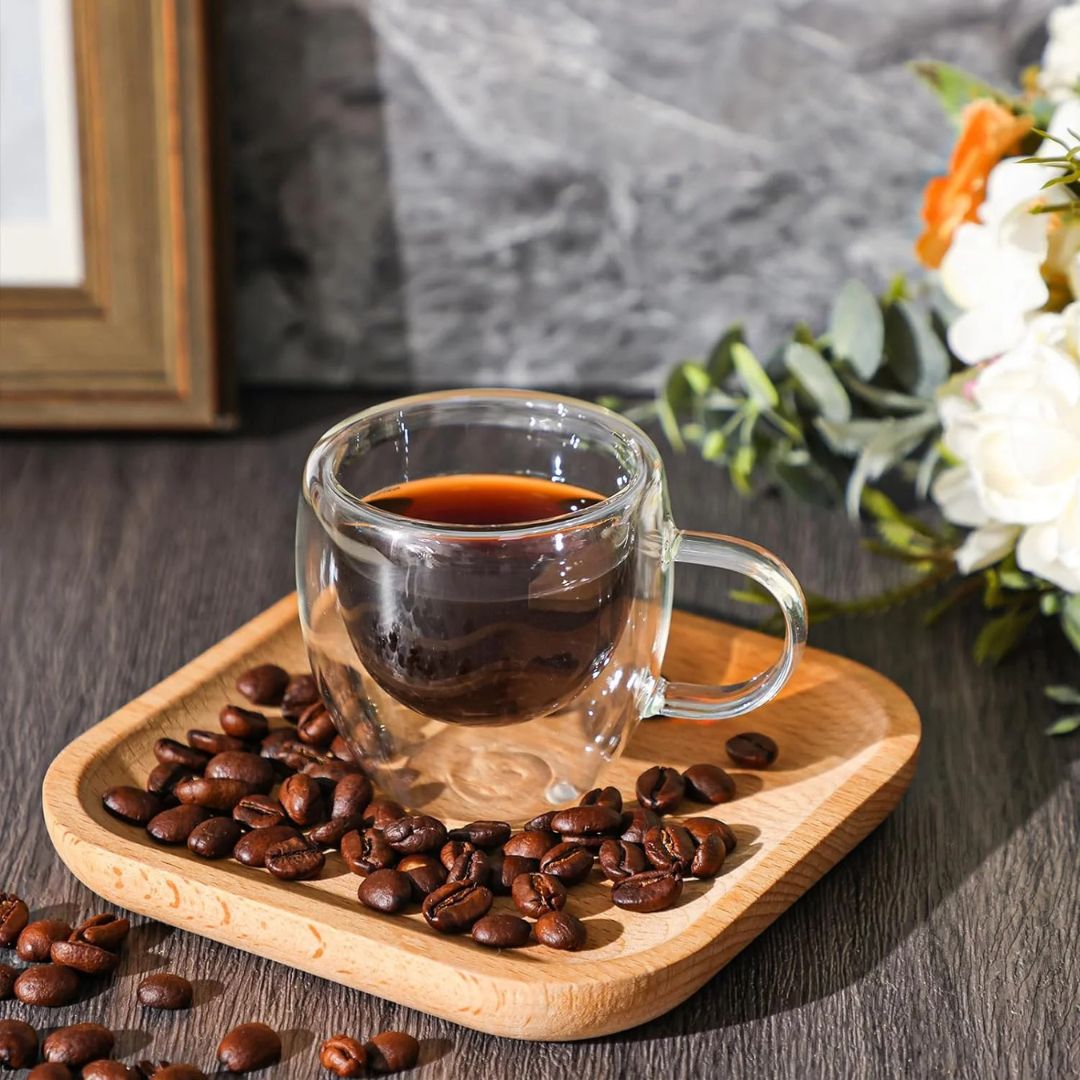 Double Wall Insulated Glass Mug With Handle 250 ML