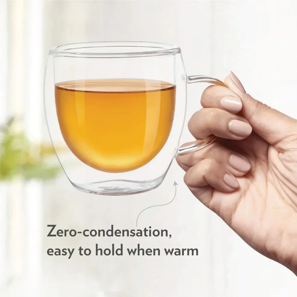 Double Wall Insulated Glass Mug With Handle 250 ML